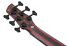 Ibanez SR Premium 6str Electric Bass w/Bag  - Dual Mocha Burst Flat (SR1356BDUF)|Musician Madness