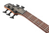 Ibanez SR Standard 5str Electric Bass - Black Stained Burst (SR605EBKT)|Musician Madness