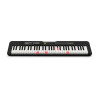 Casio LK-S250 61 Piano (LK-S250)