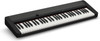Casio Casiotone CT-S1 61-Key Portable Keyboard - Black (CT-S1BK)