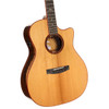 Cort GOLDA10 Gold Series A10 Cocobolo Acoustic-Electric Guitar - Natural Gloss (GOLDA10-U)