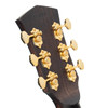 Cort Gold MC6 Ovangkol Acoustic-Electric Guitar w/ Premium Gig-Bag - Natural Gloss (GOLDMC6NAT-U) | Musician Madness