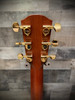 Alvarez Yairi Stage Weir Model Model Cedar Rosewood AE w/ Cutaway (WY1)