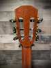 Alvarez Regent Dreadnought w/Deluxe Gig Bag (RD26)
