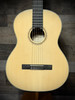 Alvarez Regent Dreadnought w/Deluxe Gig Bag (RD26)