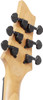Schecter 3949-SHC C-1 Standard 6 String RH Electric Guitar - Blood Burst (3949) | Musician Madness