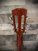 Alvarez LP70E Daybreak Alvarez Laureate Parlor Guitar Acoustic Electric - Daybreak (LP70E_Daybreak) | Musician Madness