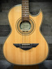 H. Jimenez Bajo Quinto Cutaway (LBQ1) | Musician Madness