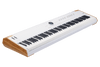 Arturia AstroLab 88-Key Stage Keyboard (230711) | Musician Madness