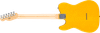 Fender Standard Telecaster Maple Fingerboard, Black Pickguard, Butterscotch Blonde | Musician Madness