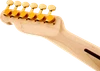 Fender Richie Kotzen Telecaster Maple Fingerboard, Brown Sunburst | Musician Madness