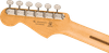 Fender Player II Stratocaster Maple Fingerboard, Transparent Mocha Burst | Musician Madness