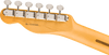 Fender American Professional Classic Telecaster Maple Fingerboard, Faded Lake Placid Blue | Musician Madness