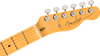 Fender American Professional Classic Telecaster Maple Fingerboard, Faded Lake Placid Blue | Musician Madness