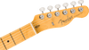 Fender American Professional Classic Telecaster Maple Fingerboard, Faded Sherwood Green Metallic | Musician Madness