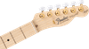 Fender James Burton Telecaster Maple Fingerboard, Blue Paisley Flames | Musician Madness