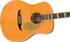 Fender California Vintage Palomino with Case, Gold Pickguard, Aged Natural | Musician Madness
