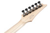 Ibanez RG Prestige 6 String Electric Guitar w/Case - Weathered Black (RGR662AHBFWK) | Musician Madness