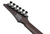 Ibanez RGD 6 String Electric Guitar - Midnight Shade Flat (RGD621AHMNF) | Musician Madness