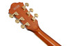 Ibanez AG Artcore Expressionist 6 String Electric Guitar - Dark Amber (AG95MGDA) | Musician Madness