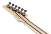 Ibanez RG Prestige 6 String Electric Guitar w/Case - Dark Tide Blue Flat (RG5121RDBF) | Musician Madness