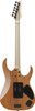 Ibanez Tim Henson Signature 6 String Electric Guitar w/Bag (TOD10MM) | Musician Madness