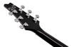 Ibanez Paul Stanley Signature 6 String Electric Guitar  - Silver Sparkle (PS60SSL)