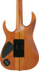 Ibanez RG Premium 6 String Electric Guitar - Antique Brown Stained Flat (RGT1220PBABS)
