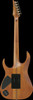 Ibanez RG Premium 6 String Electric Guitar - Antique Brown Stained Flat (RGT1220PBABS)