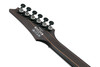 Ibanez RG 6 String Electric Guitar - Blue Chameleon (RG631ALFBCM)