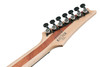 Ibanez RG Iron Label 6 String Electric Guitar - Black Flat (RGIXL7BKF)