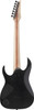 Ibanez RG Iron Label 6 String Electric Guitar - Black Flat (RGIXL7BKF)