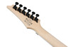 Ibanez RG Standard 6 String Electric Guitar - Transparent Gray Burst (RG450QMBTGB) | Musician Madness