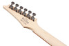 Ibanez RG Standard 6 String Electric Guitar - Caribbean Shoreline Flat (RG421PBCHF)