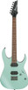 Ibanez RG Standard 6 String Electric Guitar - Sea Shore Matte (RG421SSEM) | Musician Madness