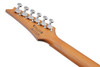 Ibanez GIO RG 6 String Electric Guitar - Black Night (GRG121SPBKN)