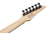 Ibanez GIO RG 6 String Electric Guitar - Black Flat (GRGR131EXBKF)