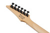 Ibanez GIO RG 6 String Electric Guitar - Metallic Gray Sunburst (GRG121DXMGS)
