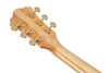 Ibanez George Benson Signature  6 String Electric Guitar w/Case - Natural (LGB30NT) | Musician Madness