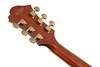 Ibanez Pat Metheny Signature 6 String Electric Guitar w/Case - Natural Amber Low Gloss (PM3CNAL)