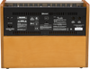 Fender Acoustic 100 | Musician Madness