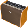 Fender Acoustic 100 | Musician Madness