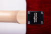 Washburn R5TS Wing Series Raven Electric Guitar. Tobacco Sunburst (R5TS-U) | Musician Madness