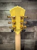Schecter Wylde Audio Odin Grail 6 String  Electric Guitar - Genesis Bullseye (4513)