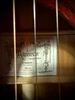 Alvarez DYM66HD Yairi Honduran Masterworks Dreadnought Acoustic Guitar (DYM66HD_06) | Musician Madness