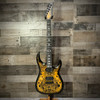 Legator N300 Pro Electric Guitar w/ Gig Bag- Death Valley  | Musician Madness