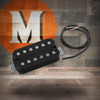EVH Frankenstein Plus Pickup | Musician Madness