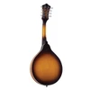 Recording King Dirty 30s A Mandolin Satin Tobacco Sunburst | Musician Madness