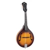 Recording King Dirty 30s A Mandolin Satin Tobacco Sunburst | Musician Madness