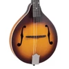Recording King Dirty 30s A Mandolin Satin Tobacco Sunburst | Musician Madness